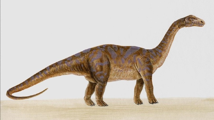 D nyadaki En B y k Canl Hangisidir TechWorm