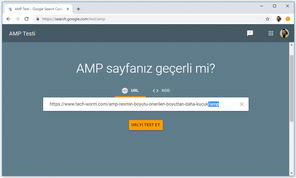 AMP: Resmin Boyutu, Önerilen Boyuttan Daha Küçük » TechWorm