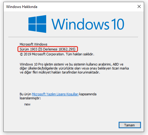 Windows 10 indir.